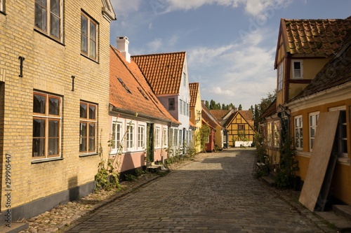 Rue colorée d'une ville au Danemark