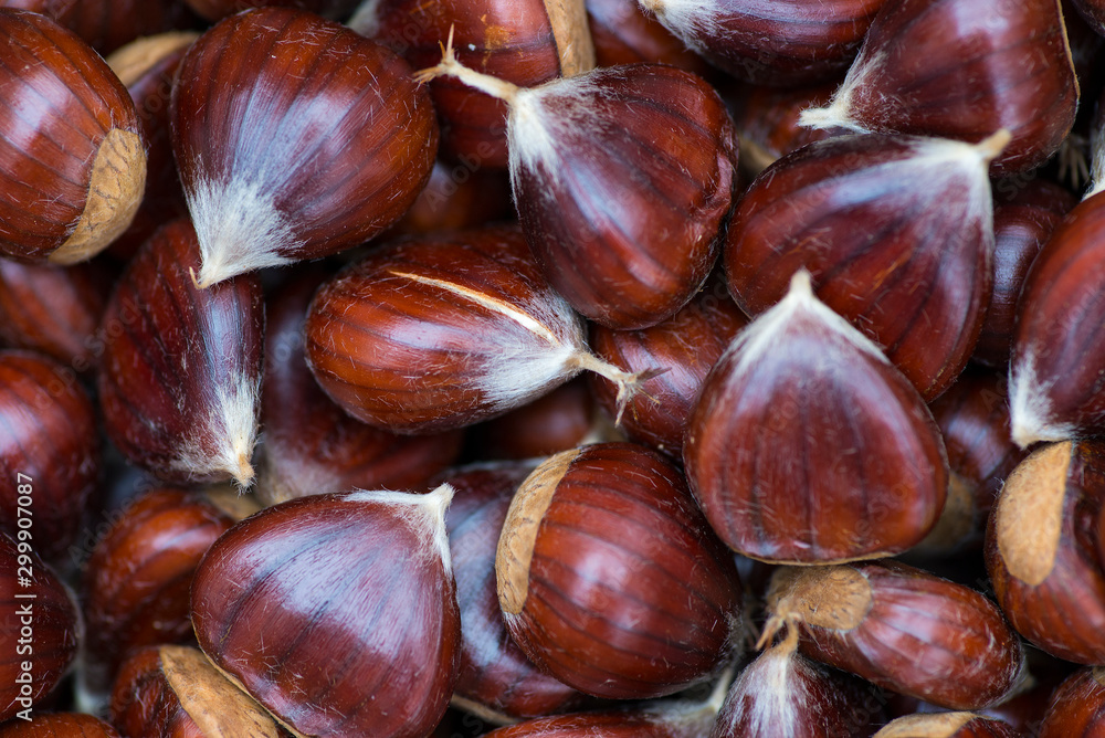 freshly picked chestnuts. Chestnuts are a very nutritious type of dried fruit. freshly picked chestnuts. Chestnuts are a very nutritious type of dried fruit.