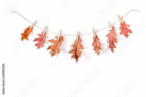Autumn composition of garlands on a rustic string. Autumn leaves and flowers, acorns, pine cones, dried spices, washing clips. Place for your decorations or text, top view, flat lay. Copy space, White