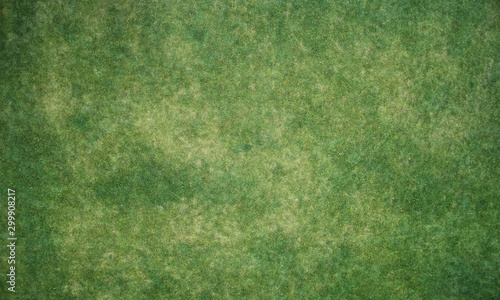Green meadow texture