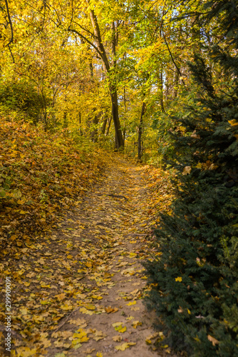 autumn in the park © gluk_nfl