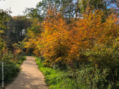 An Aoutumn in United Kingdom