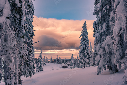 Winter landscape with small old house photo