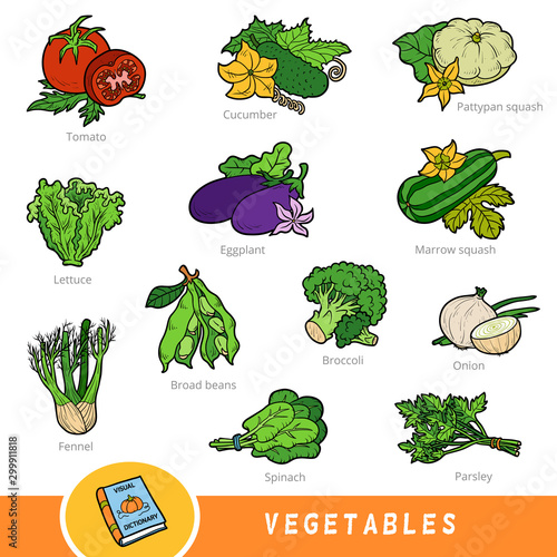 Colour set of vegetables, collection of nature items with names in English. Cartoon visual dictionary for children about plants