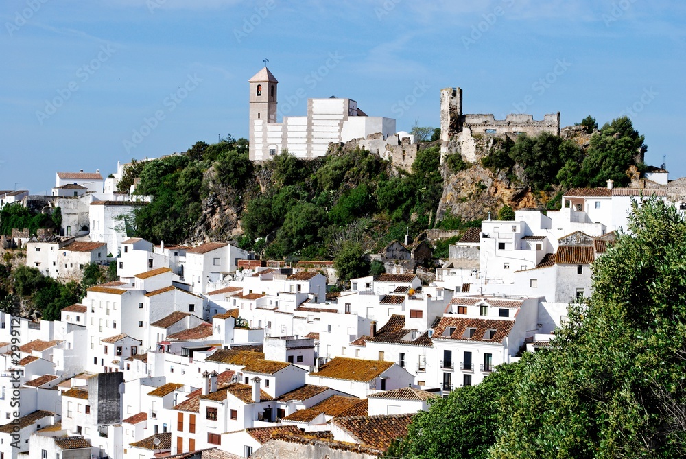 Elevated view of a traditional white village, Casares, Spain.