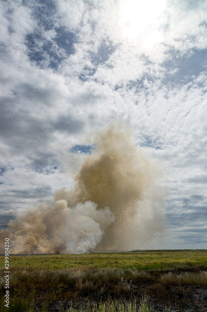 controlled Bushfire in Kakadu National Park, with diffrent birds, Northern Territory, Australia