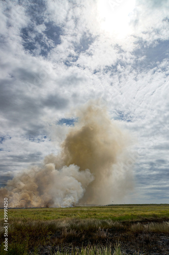 controlled Bushfire in Kakadu National Park, with diffrent birds, Northern Territory, Australia