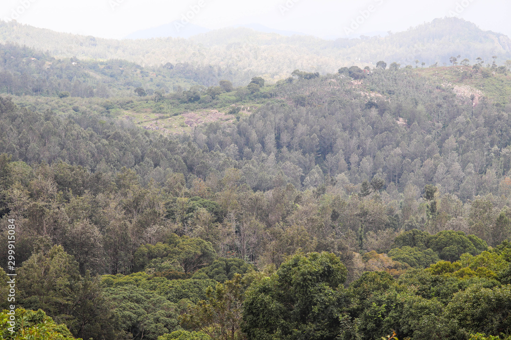 Lush Green Trees Site from Servaroyan View Point in Top Tourist Destination Yercaud Hill Station in Tamil Nadu India