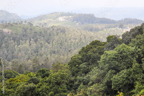 Lush Green Trees and Hills from Servaroyan View Point in Top Tourist Destination Yercaud Hill Station in Tamil Nadu India