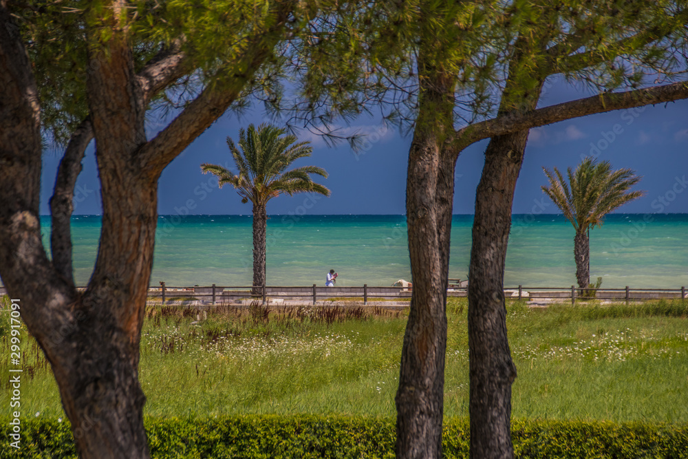 Fototapeta premium Palme e mare