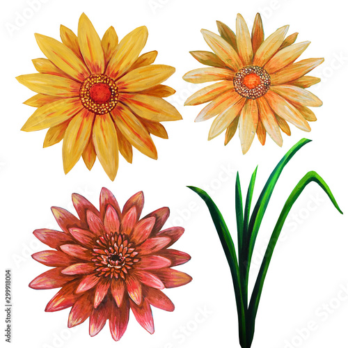 Set with red sunflowers and calendula flowers isolated on white background.