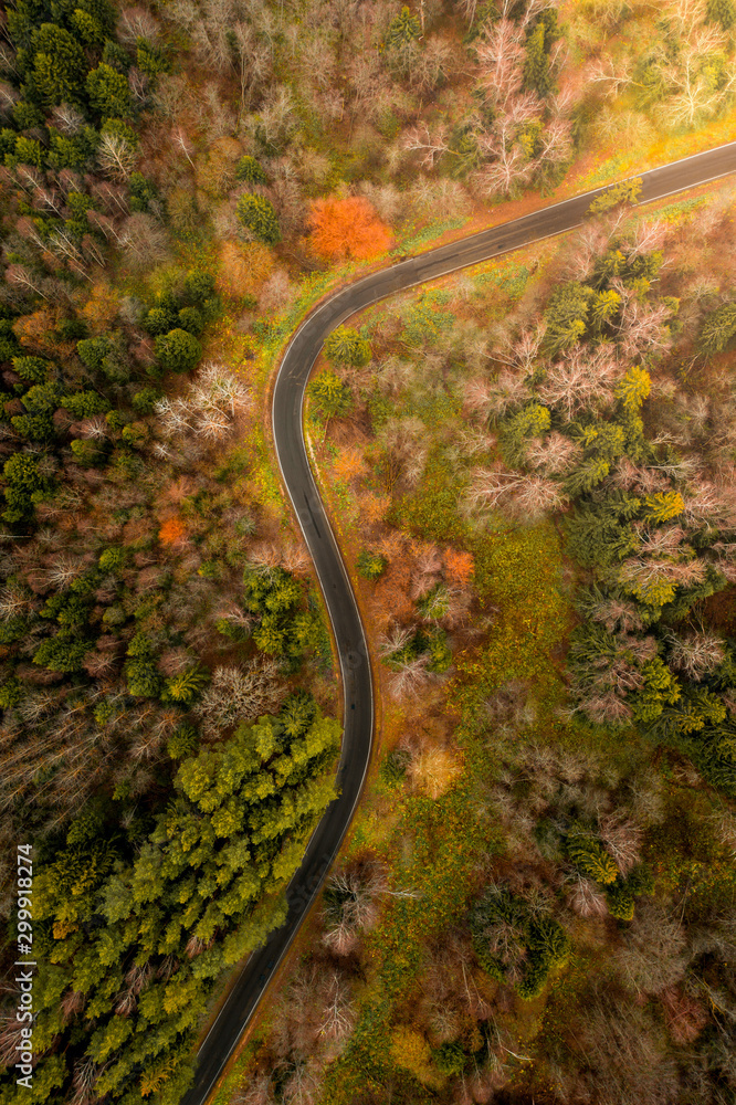 winding asphalt road with sharp turns cuts through the autumn forest with red yellow and green trees