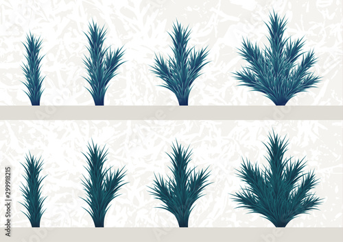 Fir branches and parts of branches set. Different parts of plants to make a Christmas tree.