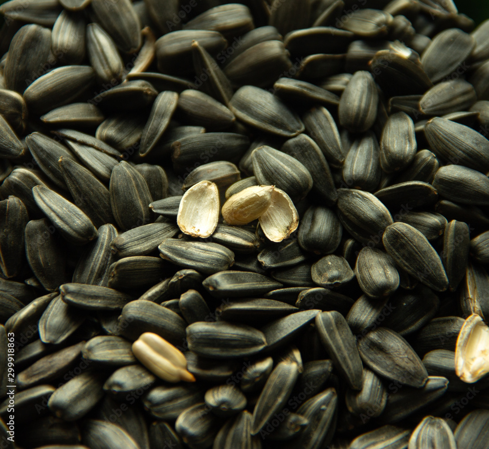 Sunflower kernels with one open seed Sunflower kernels with one open seed