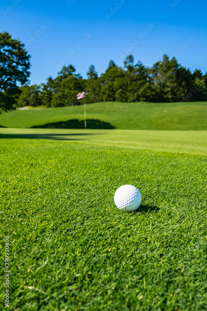View of Golf Course with beautiful putting green. Golf course with a rich green turf beautiful scenery. View of Golf Course with beautiful putting green. Golf course with a rich green turf beautiful scenery.