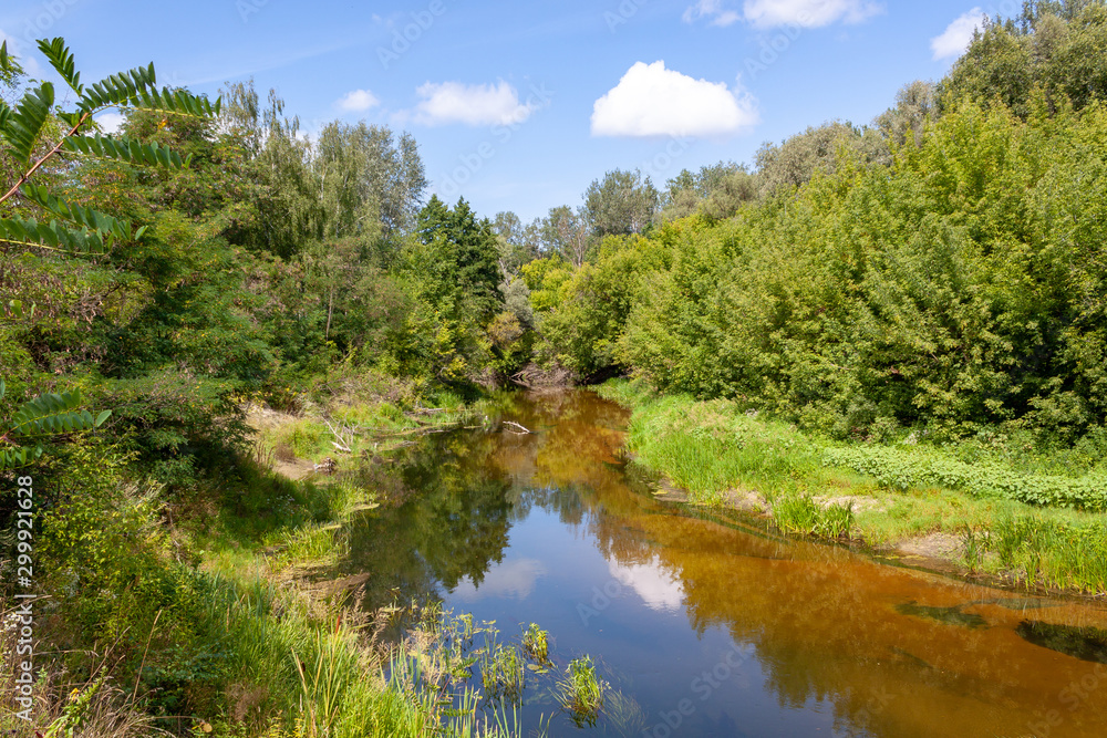 Fototapeta premium The Psel river in the autumn.