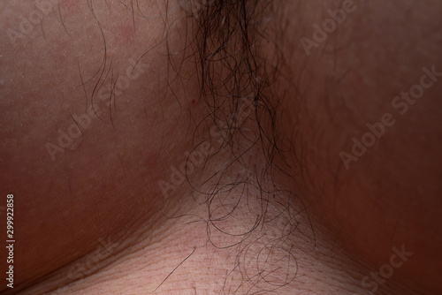 Photo of man's hairy chest, closeup photo