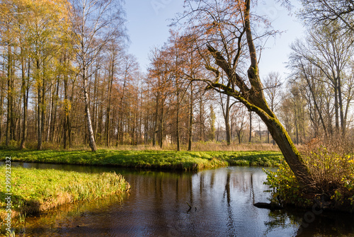 Park w zespole pałacowo-parkowym Branickich, Choroszcz. Muzeum Wnętrz Pałacowych w Choroszczycz .