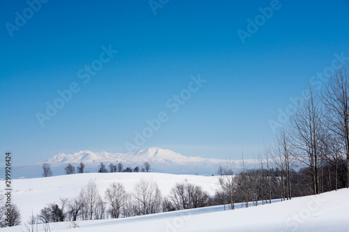 雪山と青空　大雪山 © kinpouge