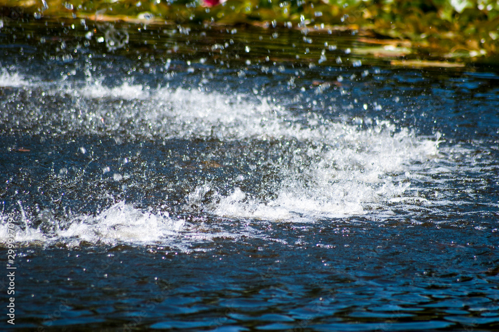 custom made wallpaper toronto digitalWater splashes and drops in park fountain pond