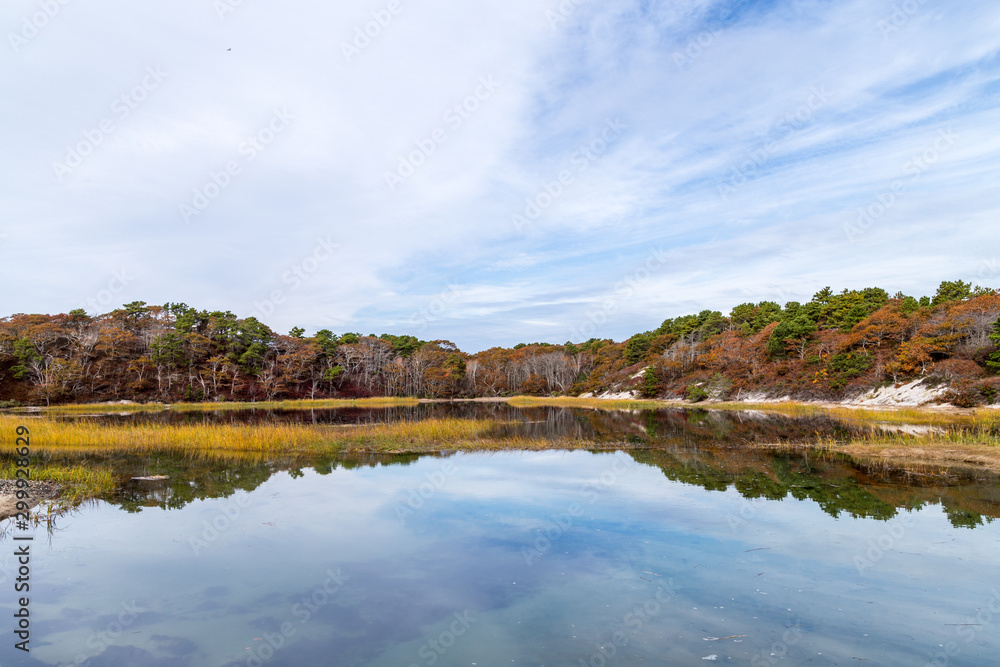 Fototapeta premium Autumn landscape with lake and trees, Provincetown, Cape Cod, Massachusetts