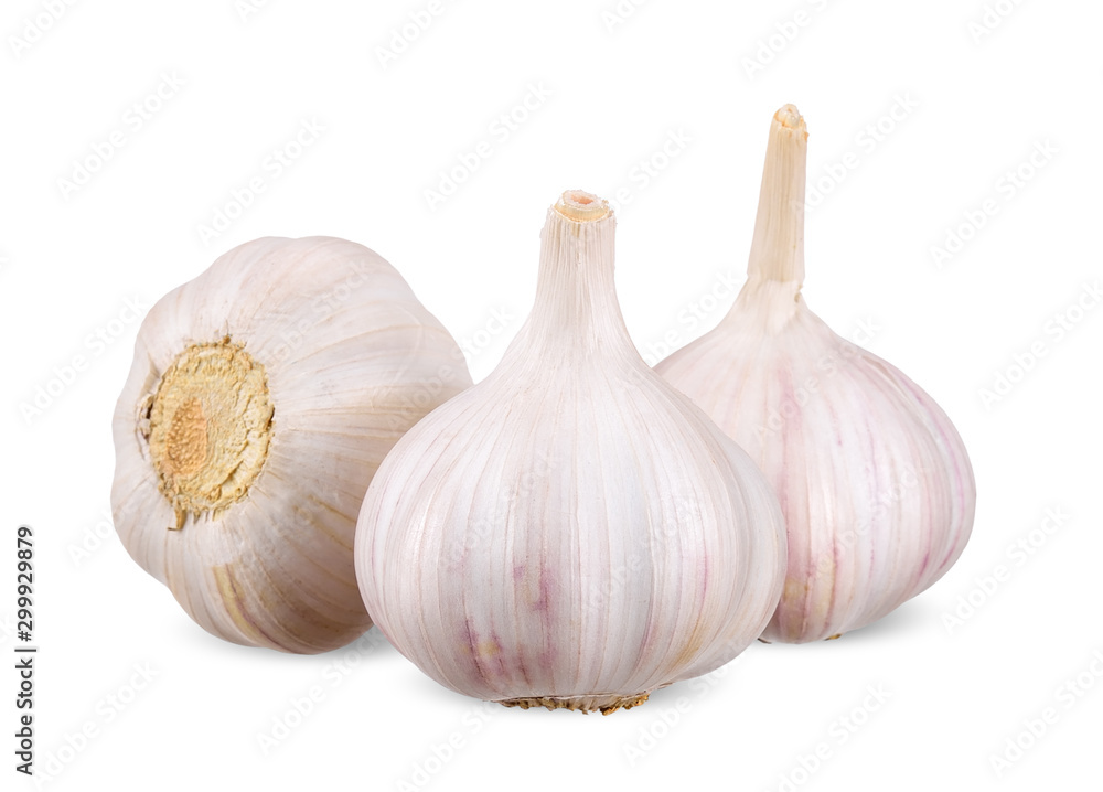 Garlic isolated on white clipping path Garlic isolated on white clipping path