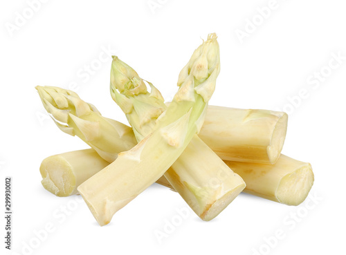 white asparagus isolated clipping path