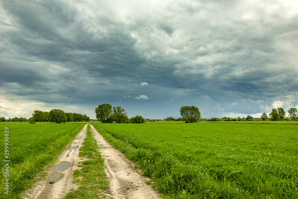 Country road through green fields and dark clouds on the sky