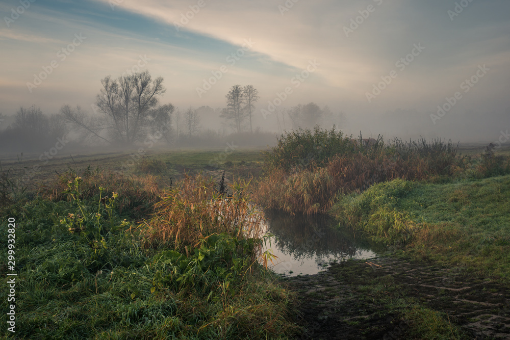 Foggy morning in the Jeziorka valley near Piaseczno, Poland