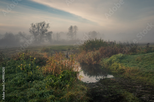 Obraz na płótnie Foggy morning in the Jeziorka valley near Piaseczno, Poland w salonie