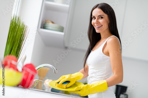 Εκτύπωση καμβά Portrait of cheerful housewife clean dishes after tasty dinner use sponge gloves