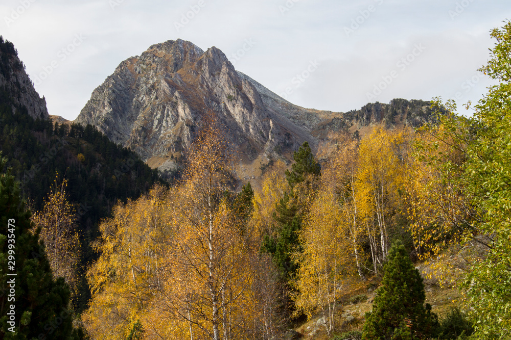 The Pyrenees mountains in autumn. With the golden colors of the trees.