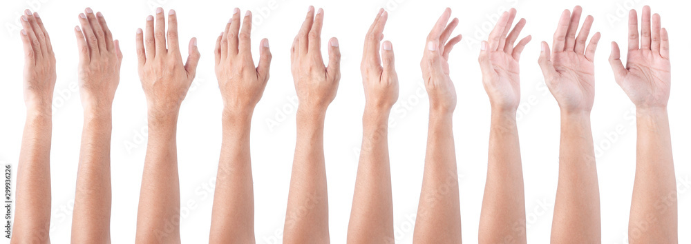 © aekkorn - GROUP of Male asian hand gestures isolated over the white background. Soft Grab Action. © aekkorn - GROUP of Male asian hand gestures isolated over the white background. Soft Grab Action.
