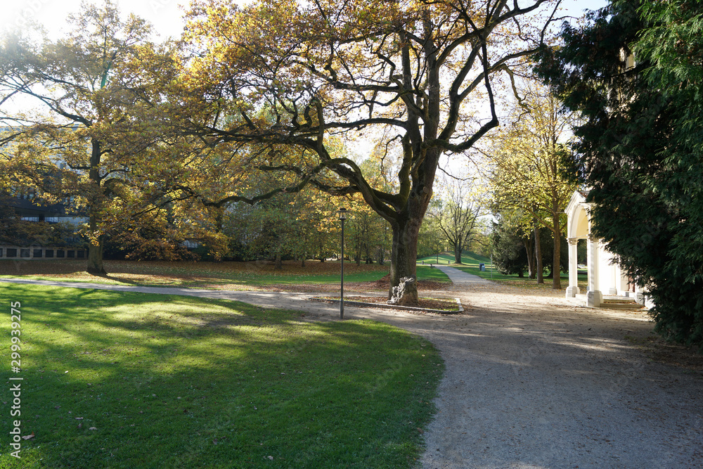 Well laid out path through a park invites you to go for a walk Well laid out path through a park invites you to go for a walk