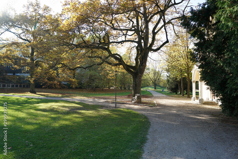 Well laid out path through a park invites you to go for a walk