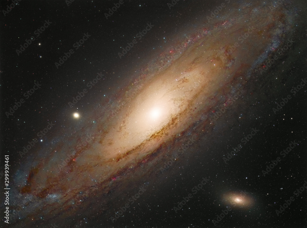 Fototapeta premium Andromeda Galaxy