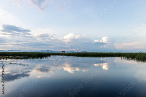 scenary of fresh water lotus lake in San Roi Yod Nationpark Thailand © someman