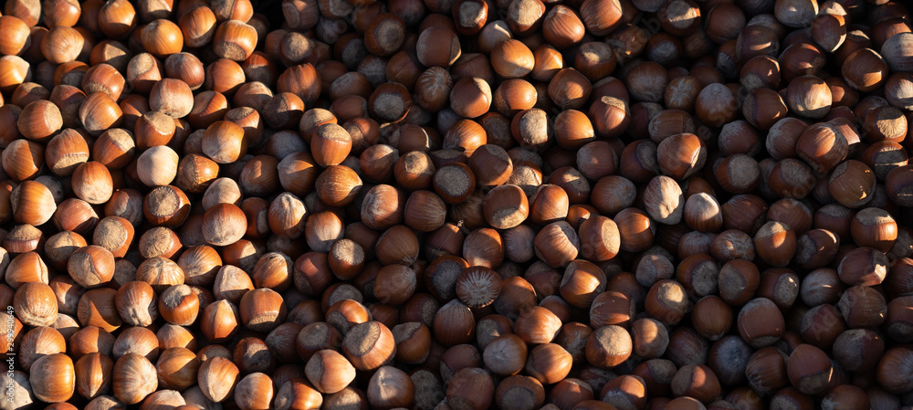 Hazelnuts as background and texture Hazelnuts as background and texture