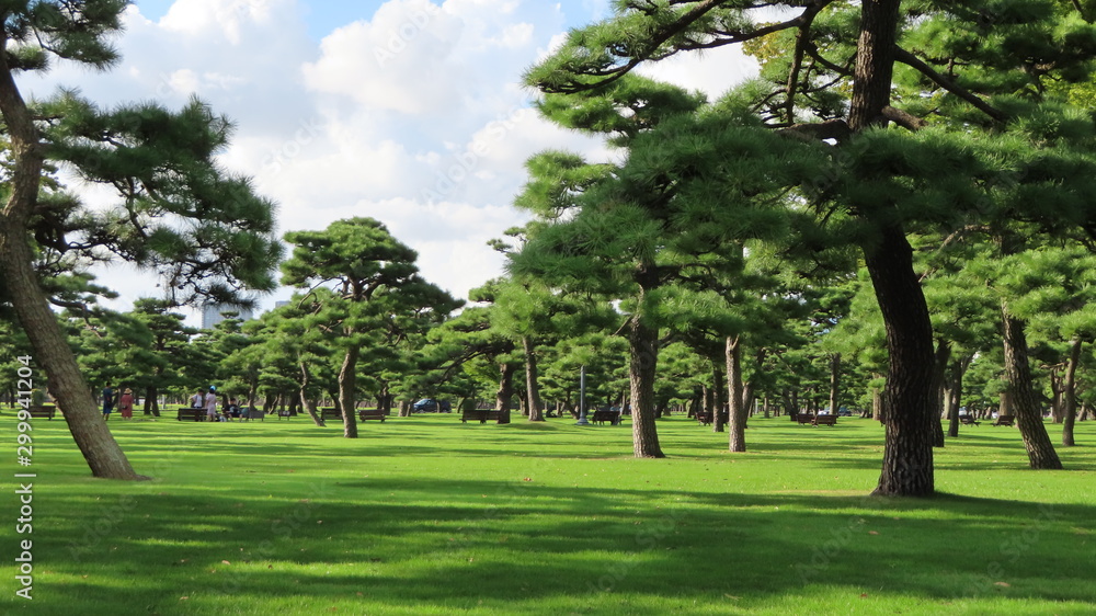Fototapeta premium Nice views park on Tokyo - Japan