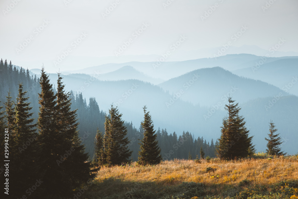 Location Carpathian national park, Ukraine, Europe.