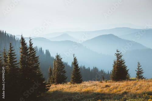 Location Carpathian national park, Ukraine, Europe. © Leonid Tit