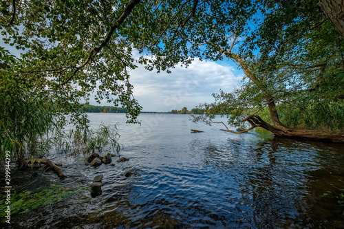 Photography Baumbestandenes Ufer der Havel in Berlin-Heiligensee