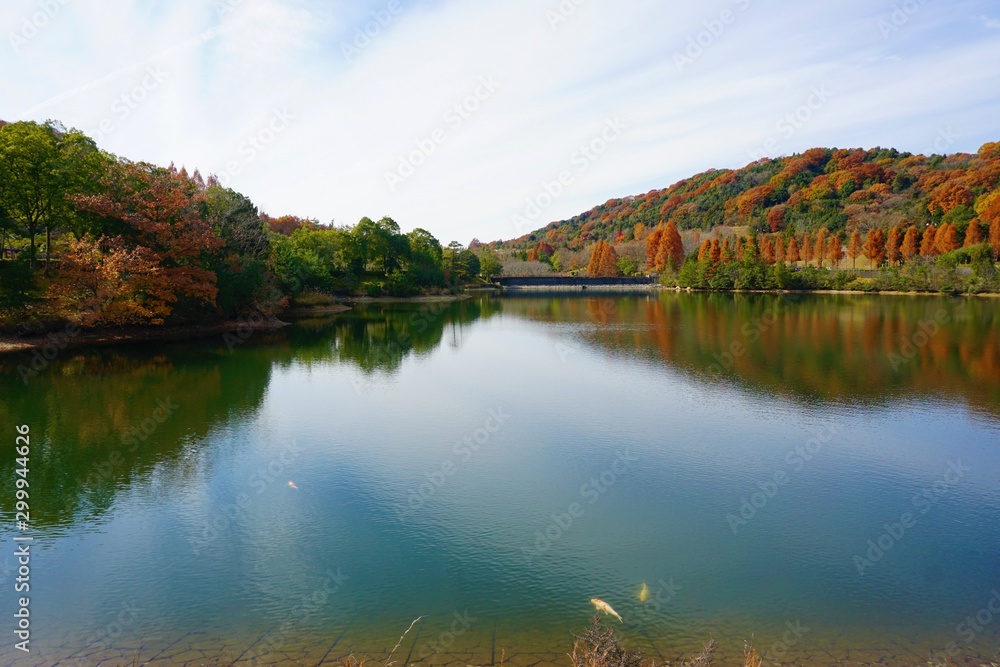Obraz premium 静かな水面と紅葉