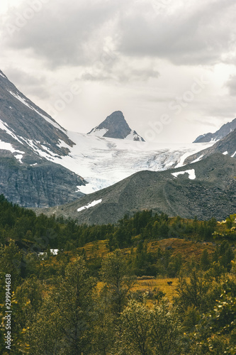 Norway mountains landscape Steindalsbreen glacier and forest in Lyngen Alps scenic view Steindalen valley travel locations environment ecology concept