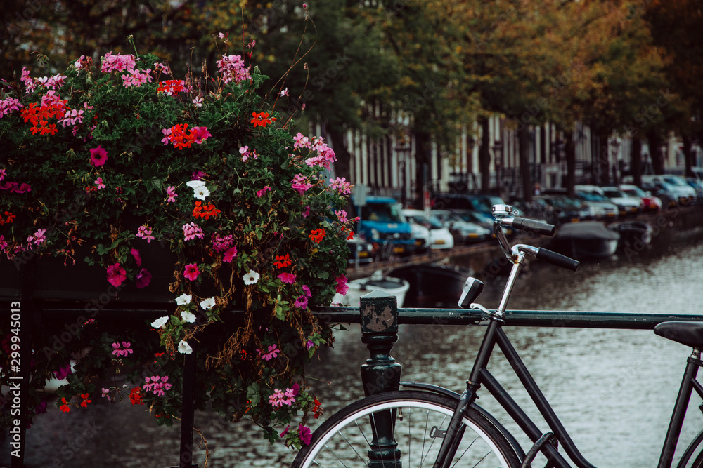 Amsterdam canal. Netherlands autumn cityscape. Bicycle and flowers.