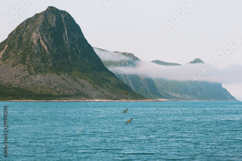Husoy island in Norway mountains and sea landscape Travel locations scandinavian scenery of Senja