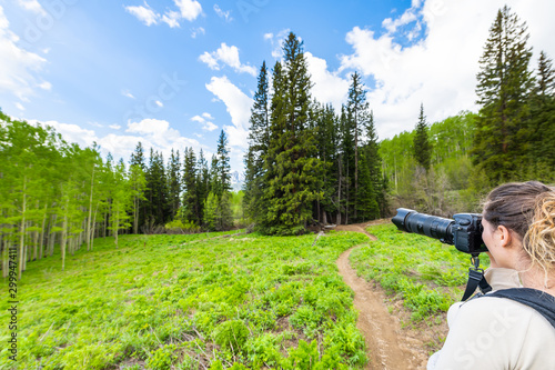 Snodgrass trail forest woman photographer taking picture with camera in Mount Crested Butte, Colorado in National Forest park mountains in summer photo