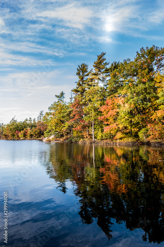 Colourful autumn leaves at Beausoleil Island, Frying Pan Bay