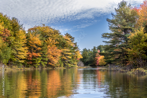 Colourful autumn leaves at Little Dog Channel, Beausoleil Island, Frying Pan Bay photo