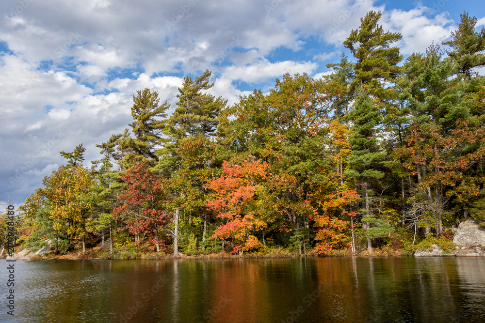 Colourful Autumn leaves at Frying Pan Bay, Beausoleil Island, Thankgiving 2019 Colourful Autumn leaves at Frying Pan Bay, Beausoleil Island, Thankgiving 2019